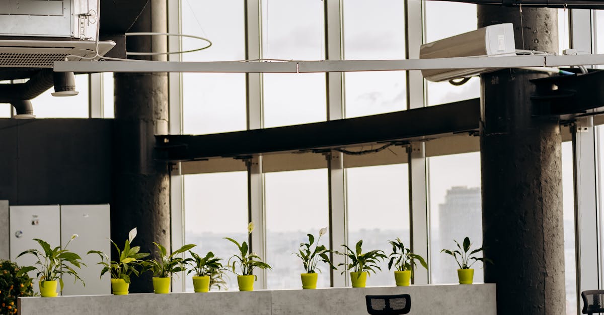 Leveraging Energy-Efficient Technology for Sustainable Office Environments