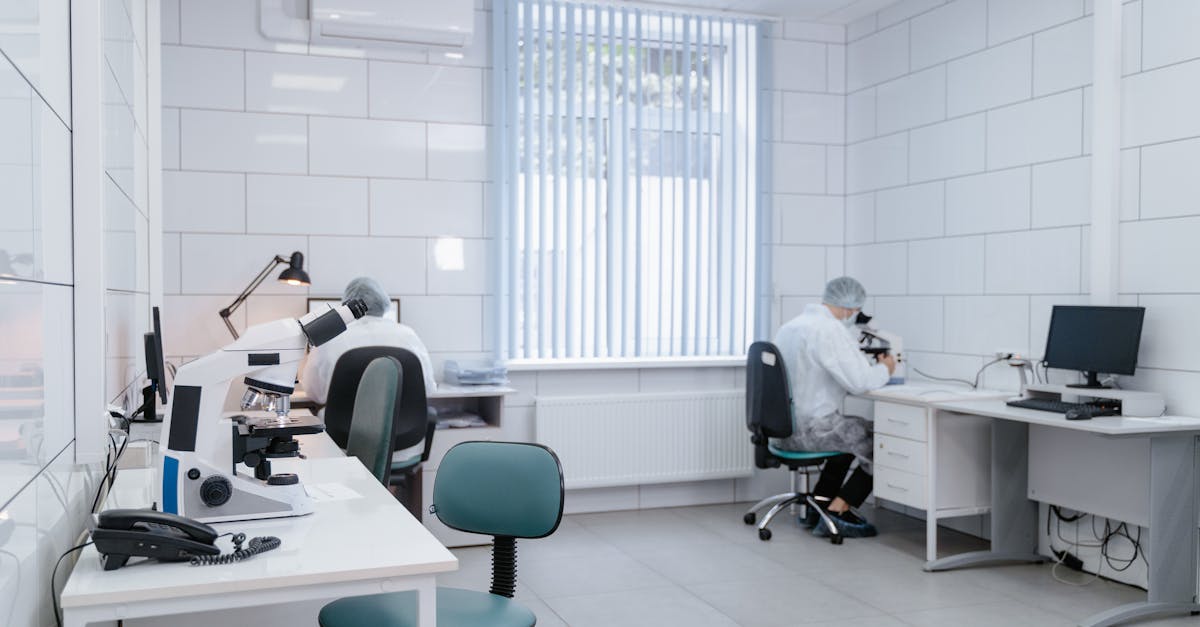 The Correlation Between Air Conditioning and Employee Output in Office Environments
